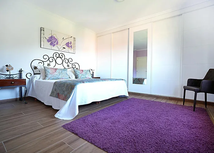 A Rochela بونتيفيذرا