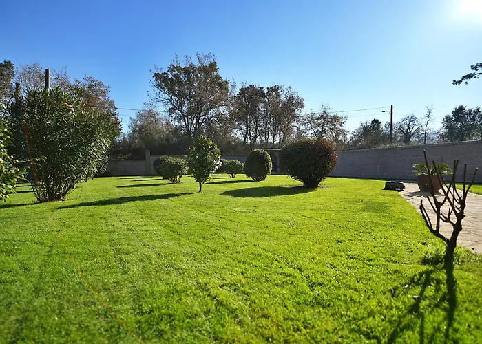 A Rochela بونتيفيذرا